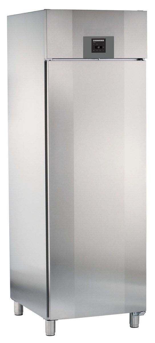Liebherr ProfiLine GGPv6570 Forced-air freezer