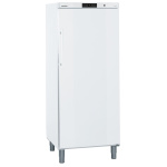 Liebherr ProfiLine GGv5010 Freestanding freezer