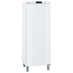 Liebherr ProfiLine GGv5810 Freestanding freezer