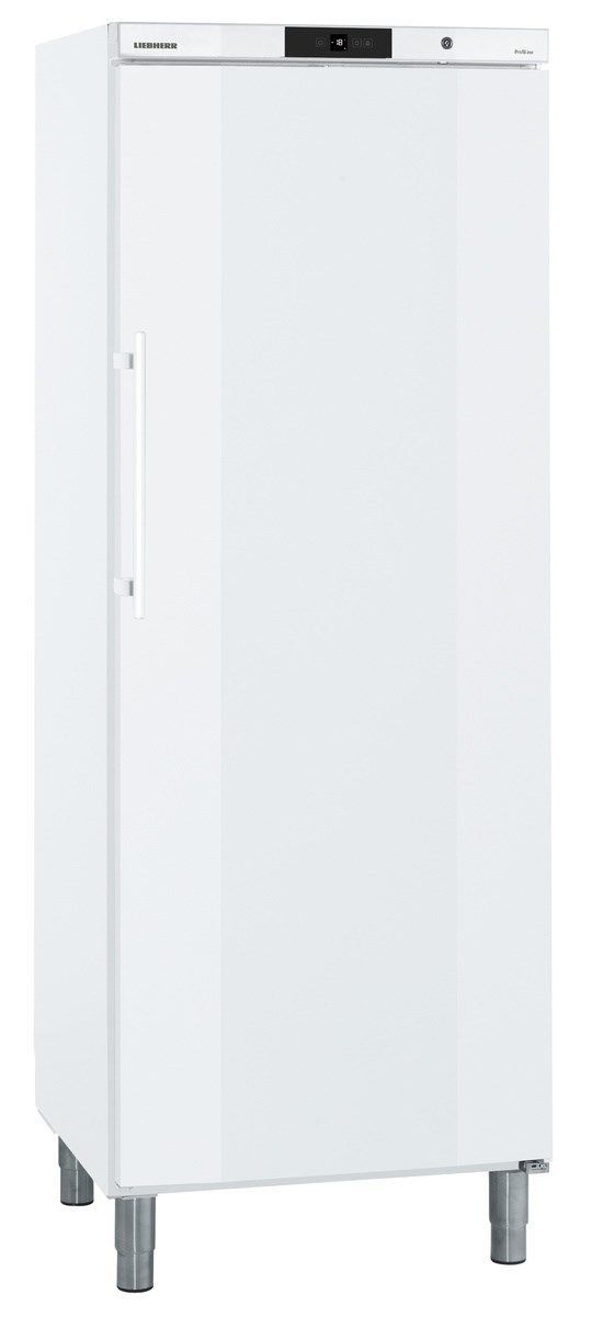 Liebherr ProfiLine GGv5810 Freestanding freezer