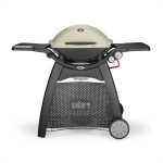 Weber Q 3000 Titanium ZA 56060044