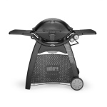 Weber Q 3200 Black ZA 57010044